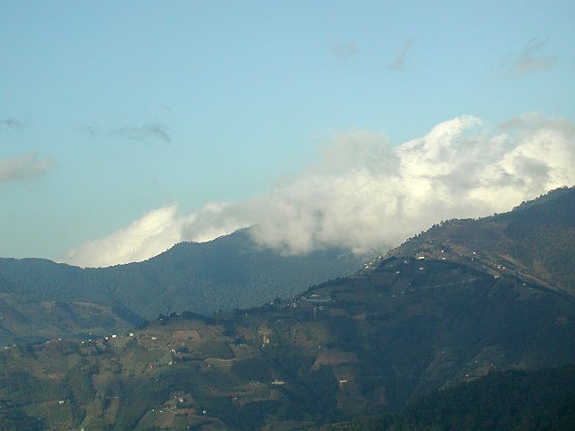 按此在新視窗瀏覽圖片