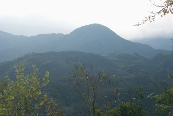 按此在新視窗瀏覽圖片