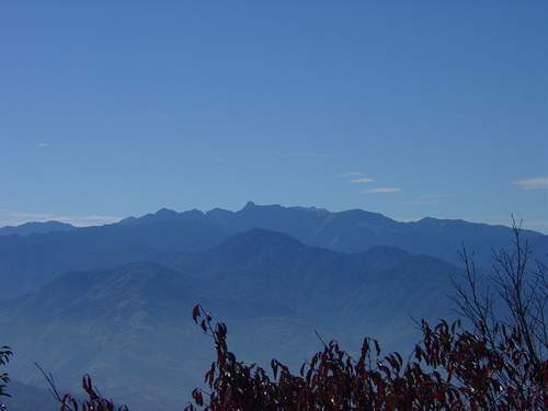 按此在新視窗瀏覽圖片