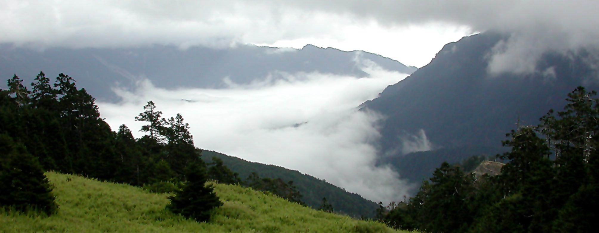 按此在新視窗瀏覽圖片