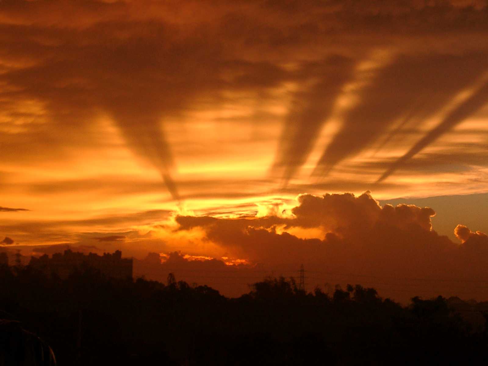 按此在新視窗瀏覽圖片