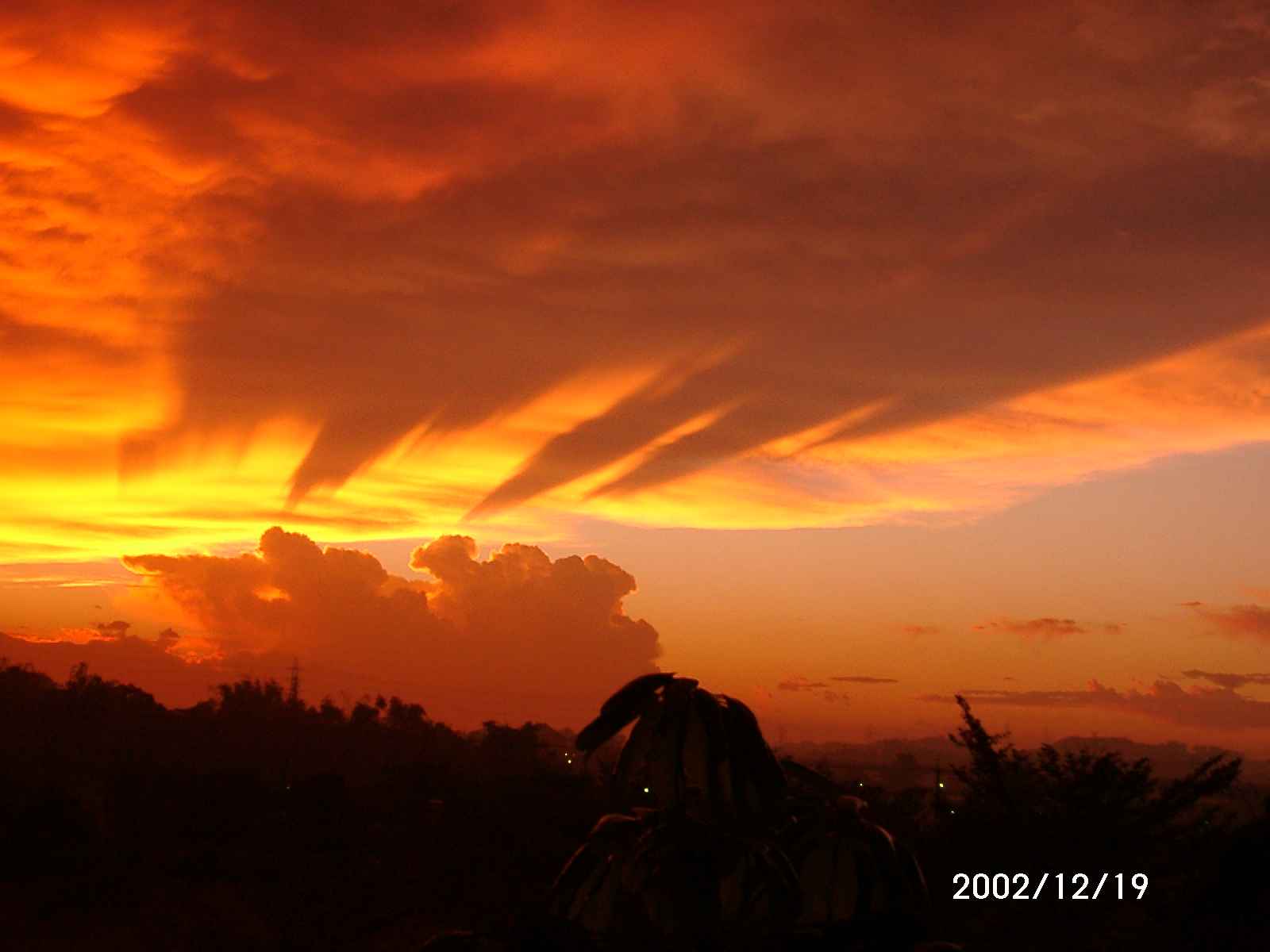 按此在新視窗瀏覽圖片