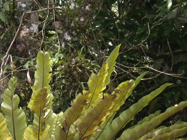 按此在新視窗瀏覽圖片