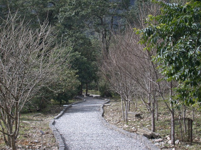 按此在新視窗瀏覽圖片