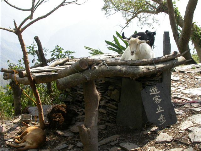 按此在新視窗瀏覽圖片