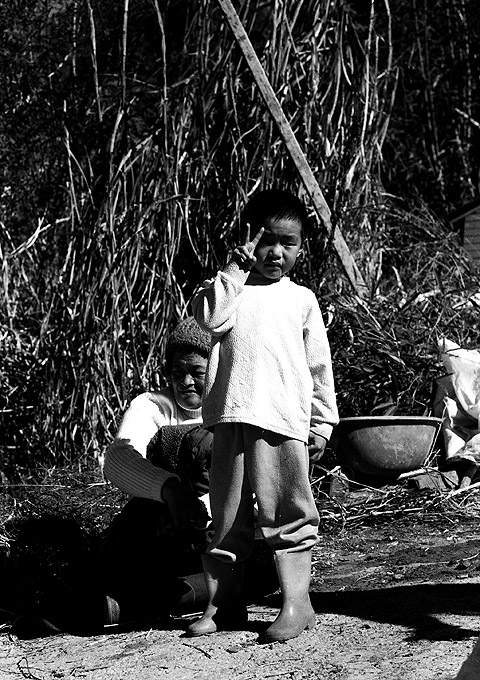 按此在新視窗瀏覽圖片