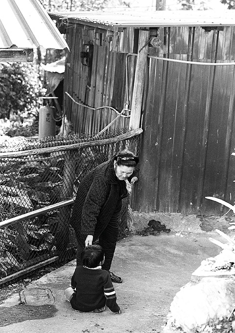 按此在新視窗瀏覽圖片