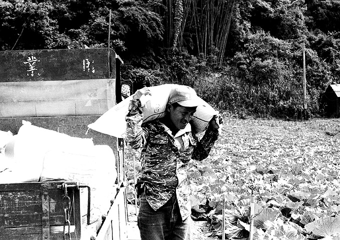 按此在新視窗瀏覽圖片