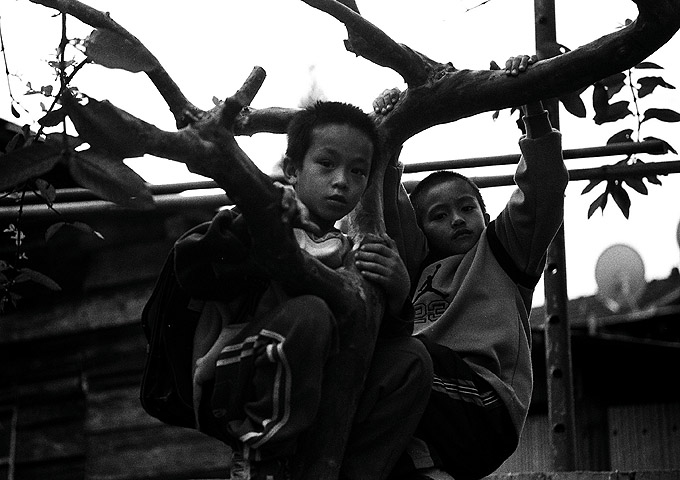 按此在新視窗瀏覽圖片