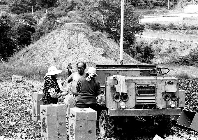 按此在新視窗瀏覽圖片