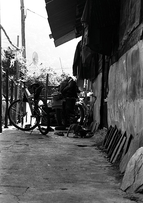 按此在新視窗瀏覽圖片