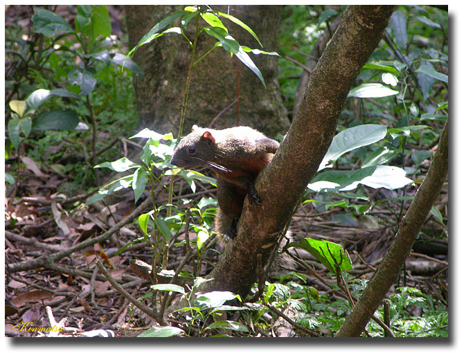 «ö¦¹¦b·sµøµ¡ÂsÄý¹Ï¤ù