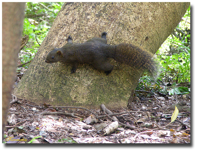 «ö¦¹¦b·sµøµ¡ÂsÄý¹Ï¤ù