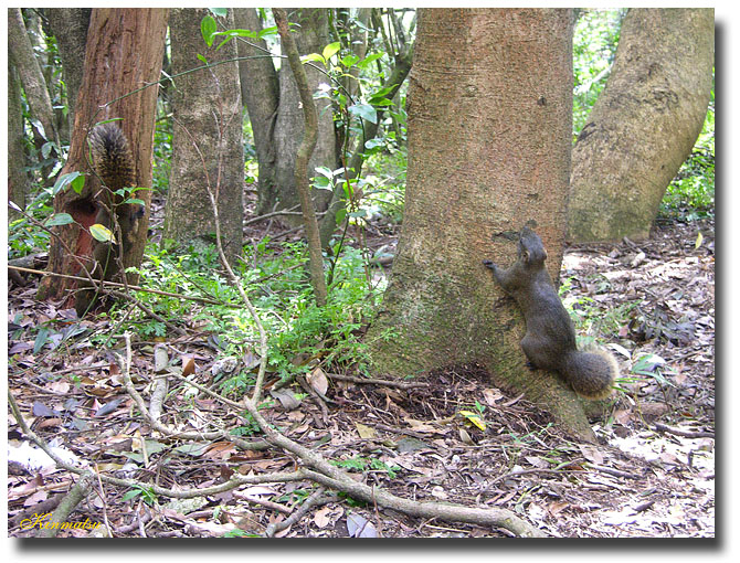 «ö¦¹¦b·sµøµ¡ÂsÄý¹Ï¤ù