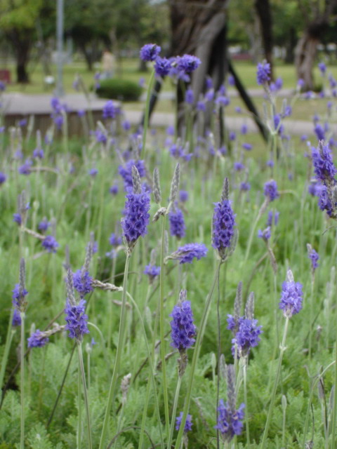 «ö¦¹¦b·sµøµ¡ÂsÄý¹Ï¤ù