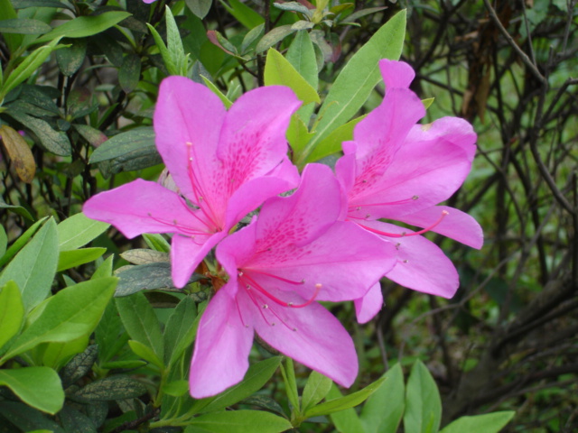 «ö¦¹¦b·sµøµ¡ÂsÄý¹Ï¤ù