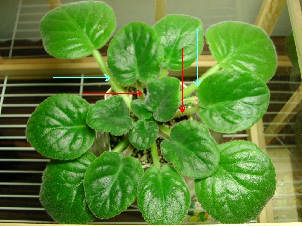 «ö¦¹¦b·sµøµ¡ÂsÄý¹Ï¤ù