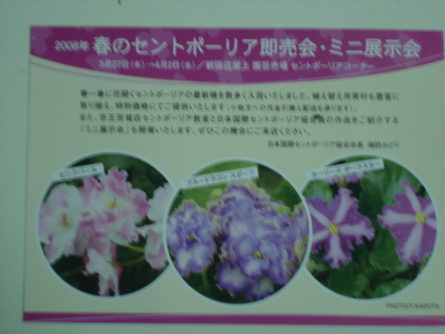 «ö¦¹¦b·sµøµ¡ÂsÄý¹Ï¤ù