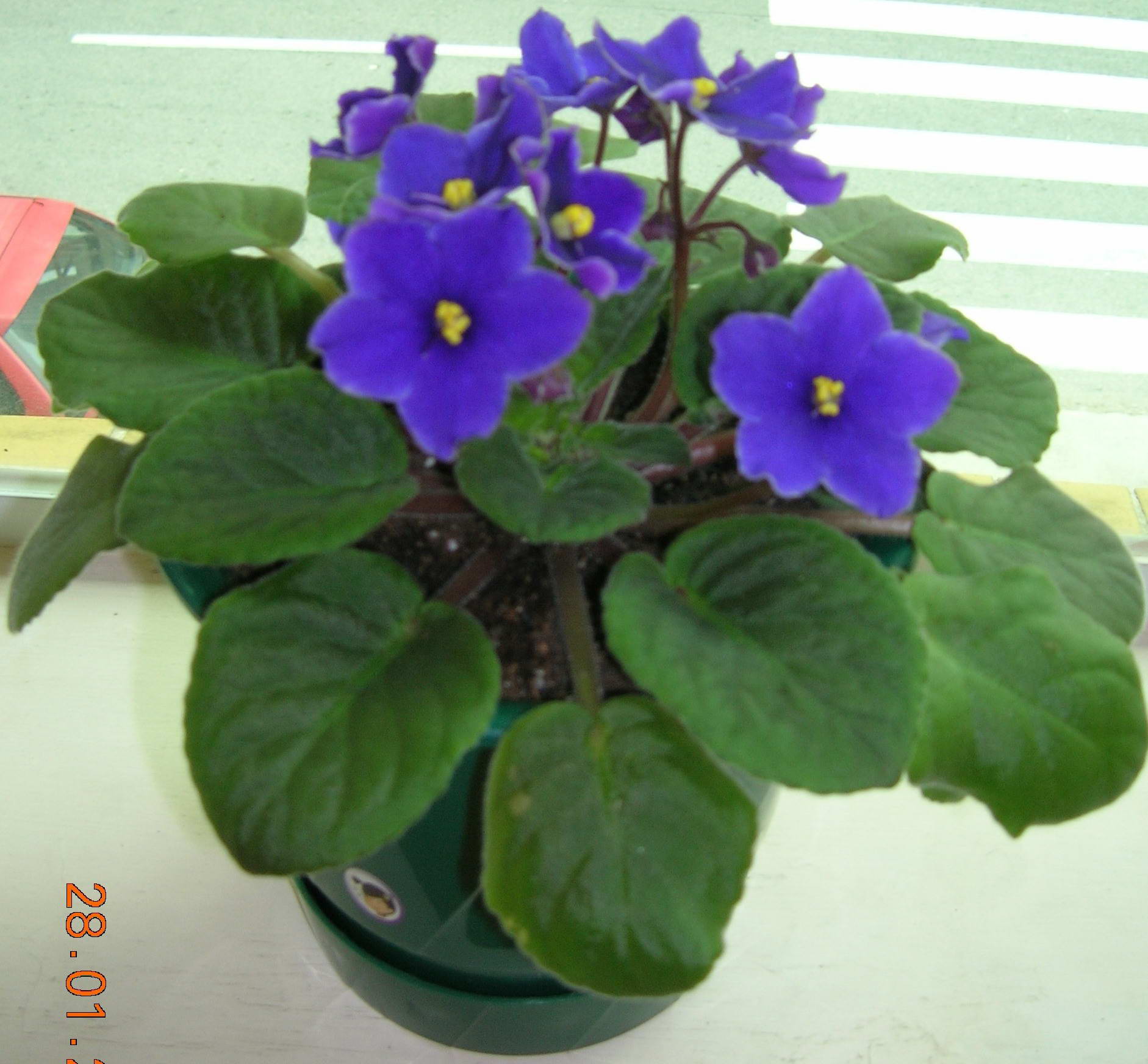 按此在新視窗瀏覽圖片