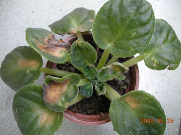 «ö¦¹¦b·sµøµ¡ÂsÄý¹Ï¤ù