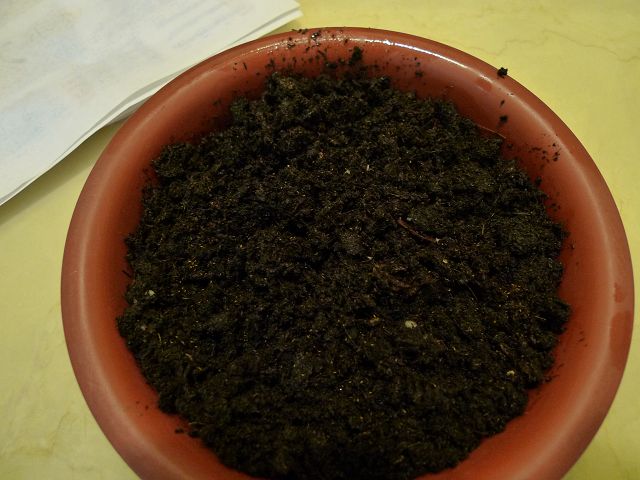 «ö¦¹¦b·sµøµ¡ÂsÄý¹Ï¤ù