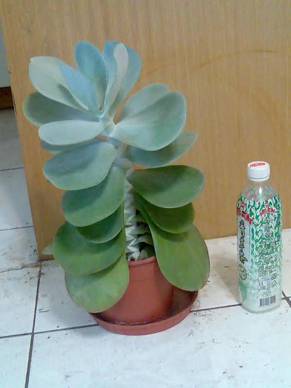 «ö¦¹¦b·sµøµ¡ÂsÄý¹Ï¤ù