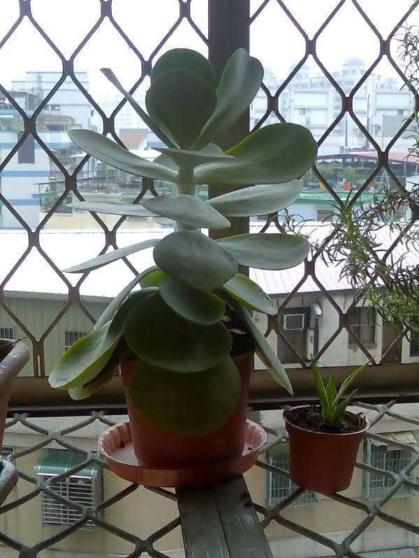 «ö¦¹¦b·sµøµ¡ÂsÄý¹Ï¤ù