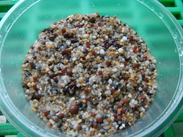 «ö¦¹¦b·sµøµ¡ÂsÄý¹Ï¤ù