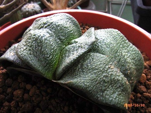 «ö¦¹¦b·sµøµ¡ÂsÄý¹Ï¤ù