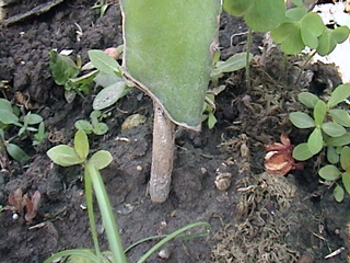 «ö¦¹¦b·sµøµ¡ÂsÄý¹Ï¤ù