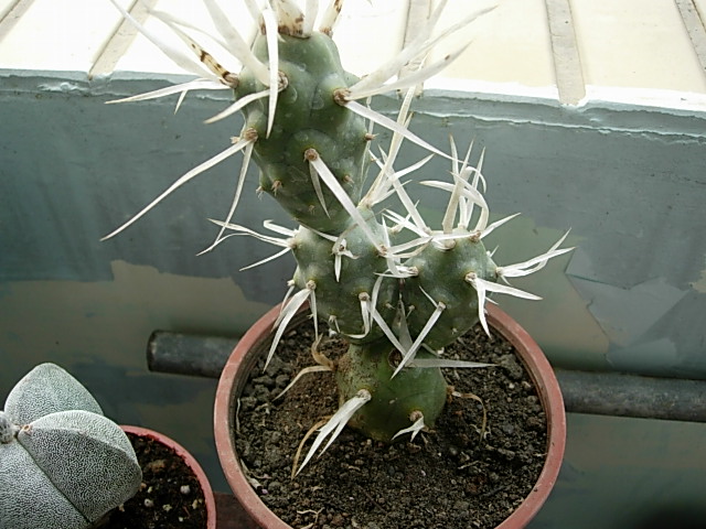 «ö¦¹¦b·sµøµ¡ÂsÄý¹Ï¤ù