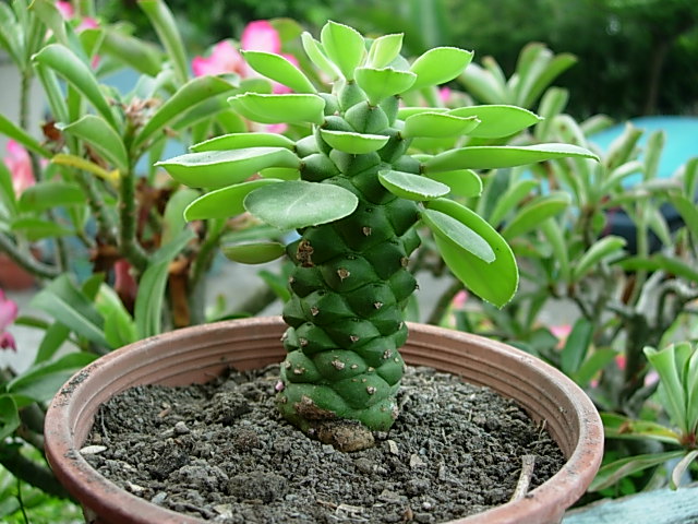 «ö¦¹¦b·sµøµ¡ÂsÄý¹Ï¤ù