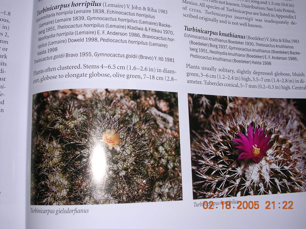 «ö¦¹¦b·sµøµ¡ÂsÄý¹Ï¤ù