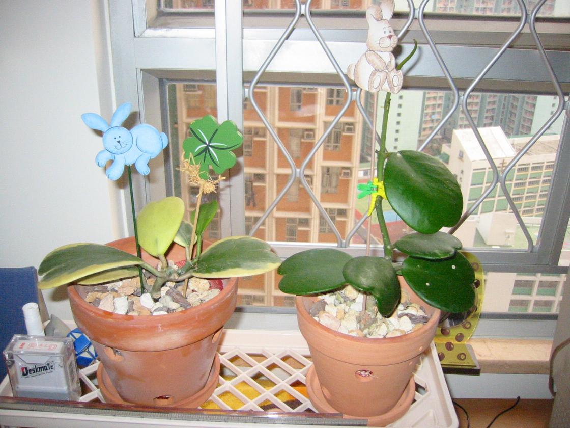 «ö¦¹¦b·sµøµ¡ÂsÄý¹Ï¤ù