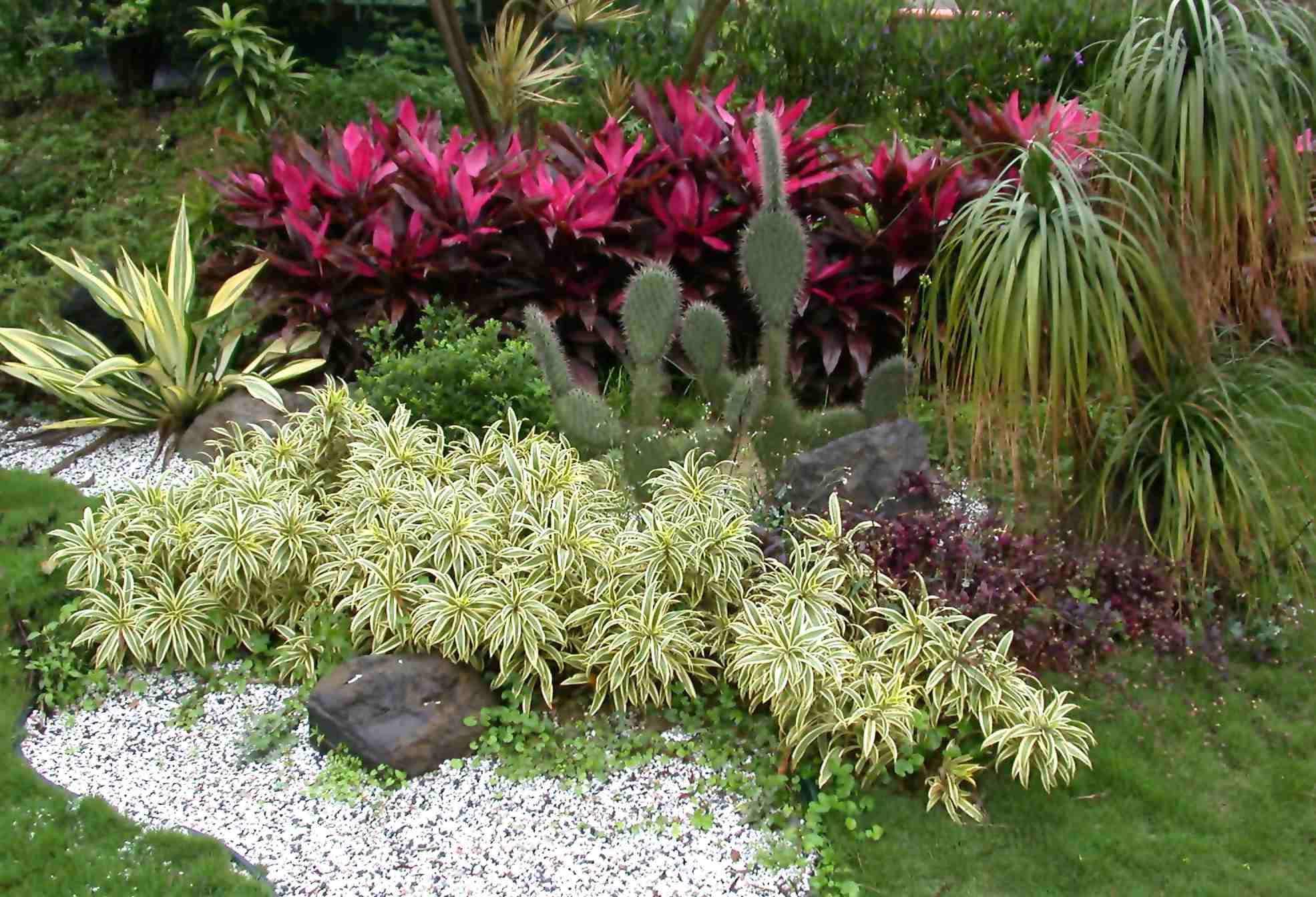 按此在新視窗瀏覽圖片