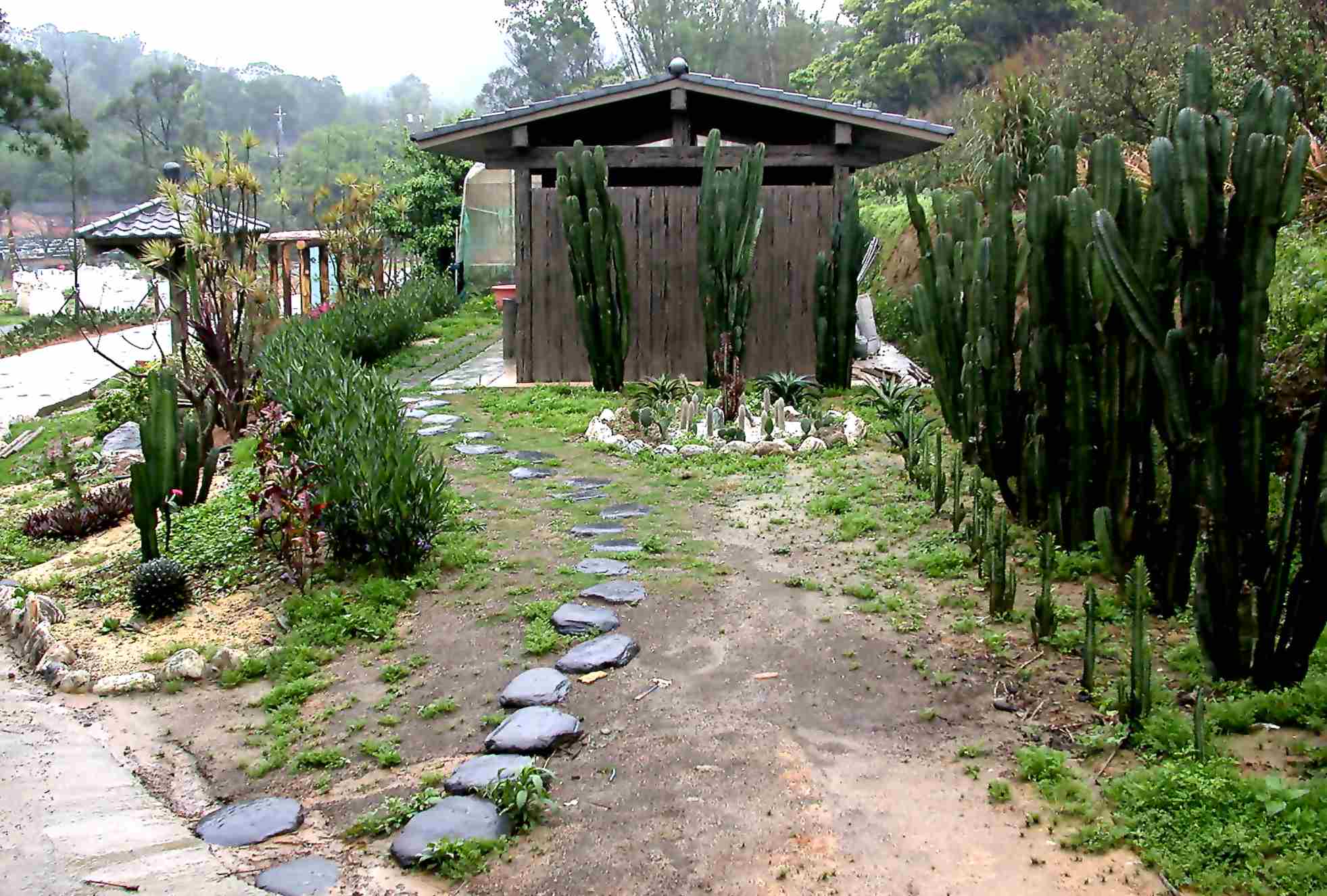 按此在新視窗瀏覽圖片