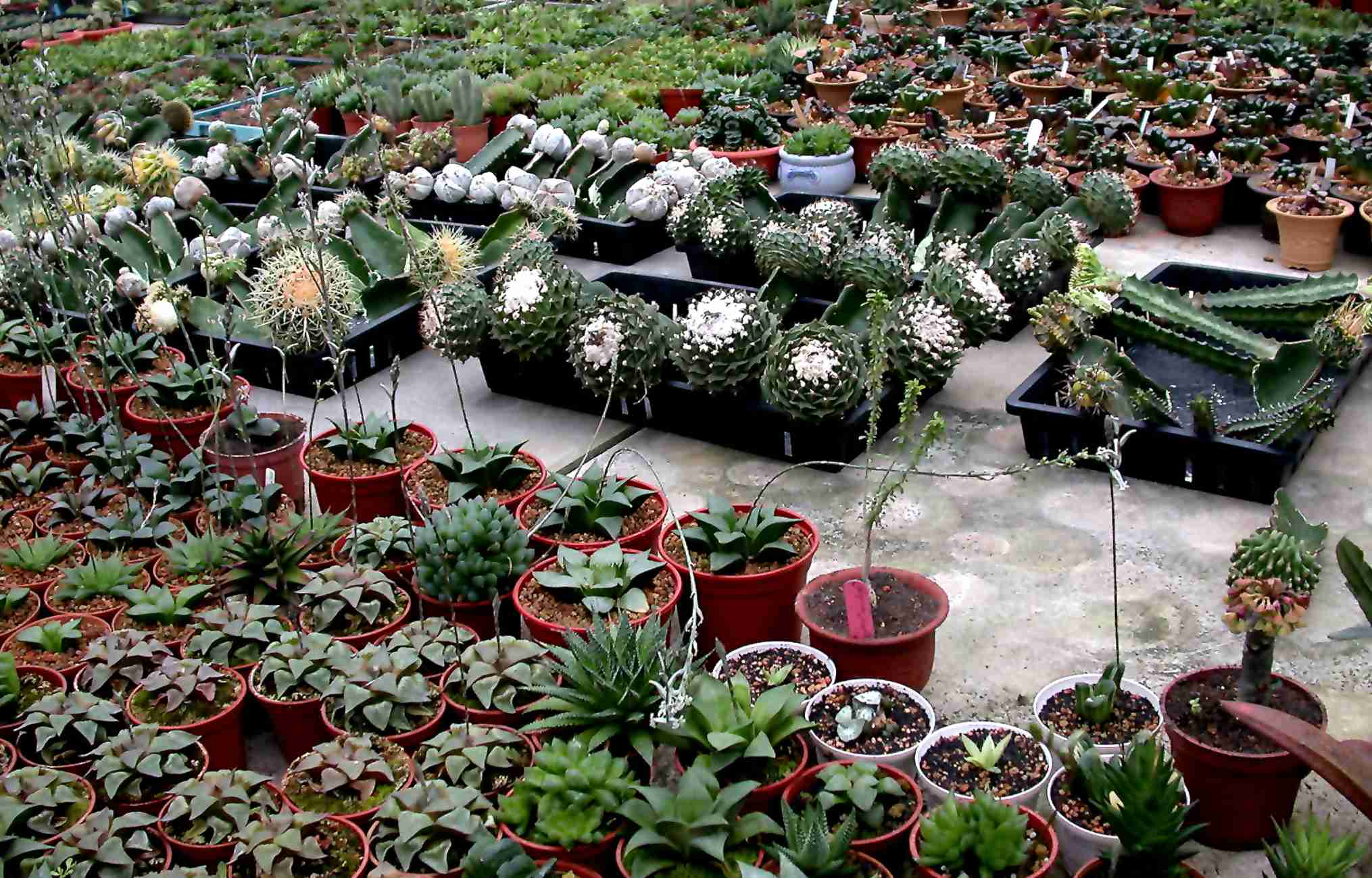 按此在新視窗瀏覽圖片