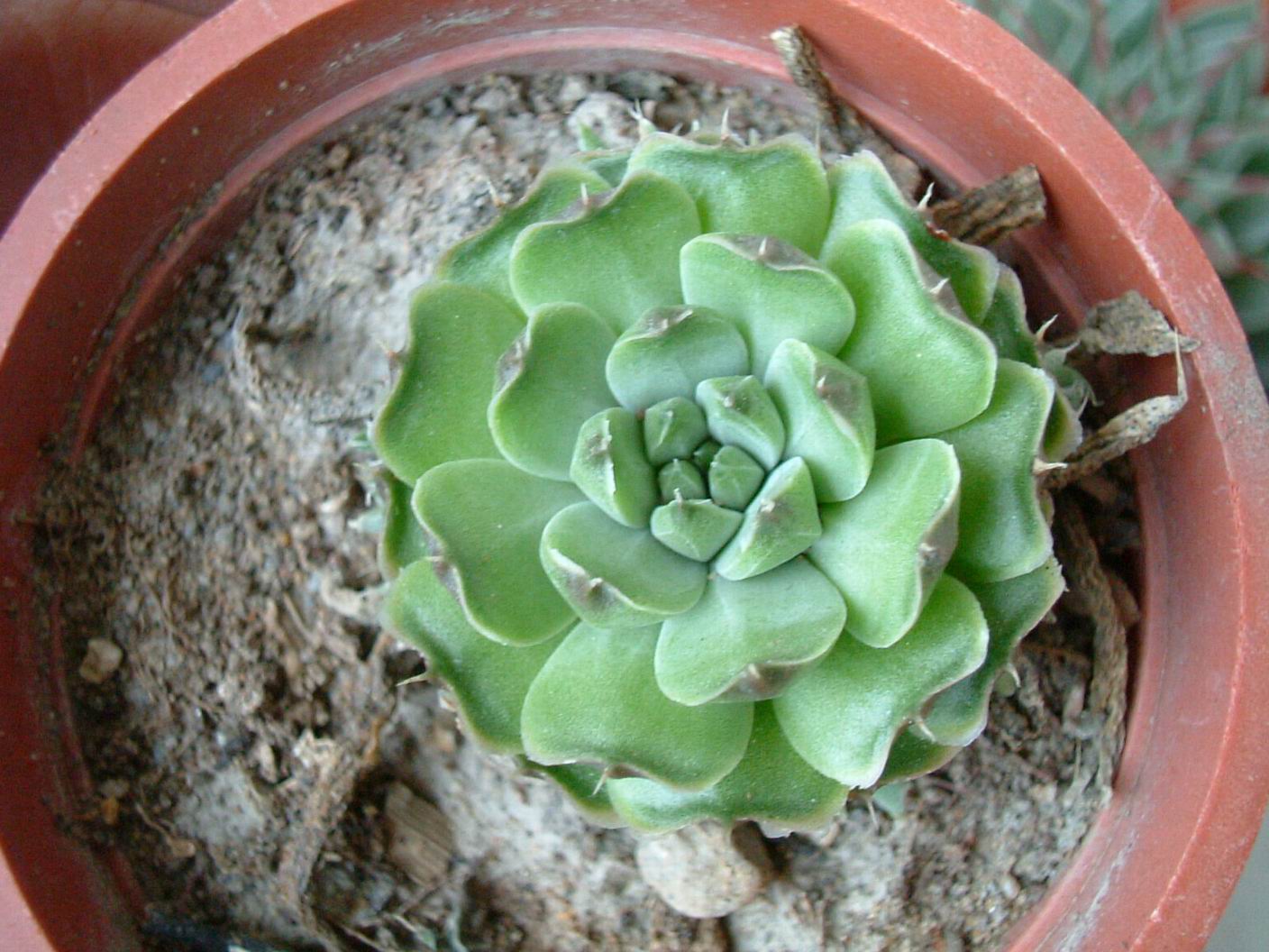 按此在新視窗瀏覽圖片