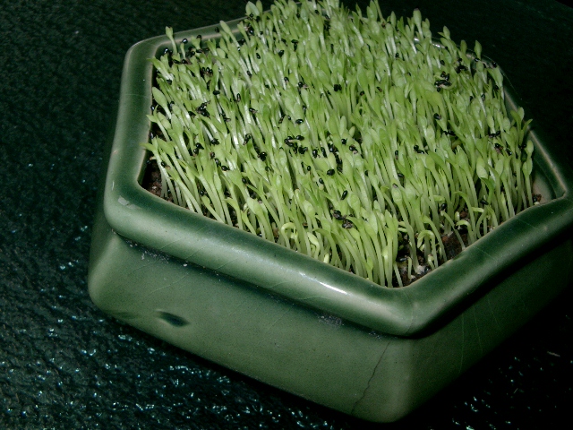 «ö¦¹¦b·sµøµ¡ÂsÄý¹Ï¤ù