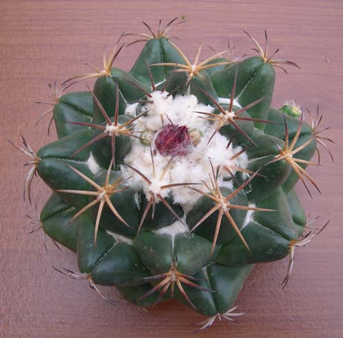 按此在新視窗瀏覽圖片