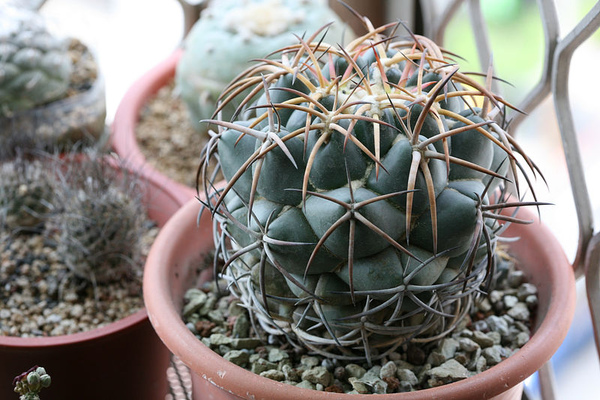 按此在新視窗瀏覽圖片