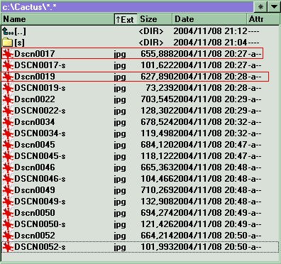 按此在新視窗瀏覽圖片