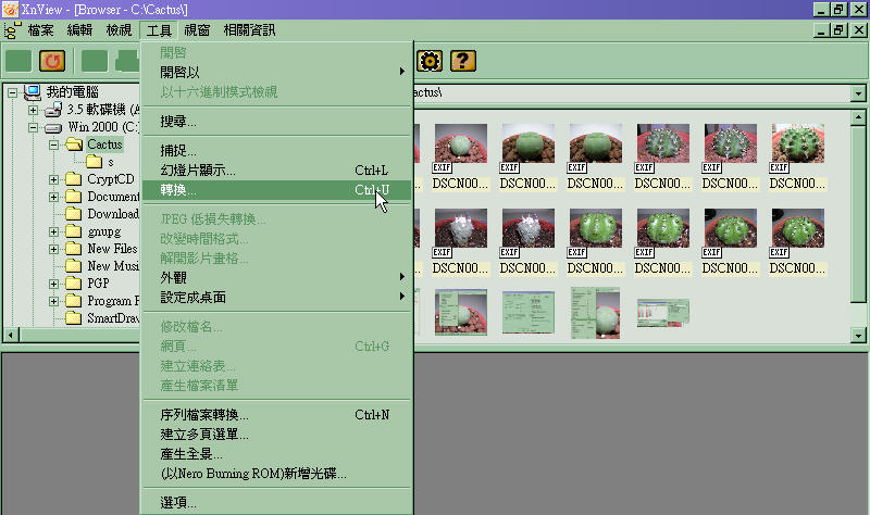 按此在新視窗瀏覽圖片