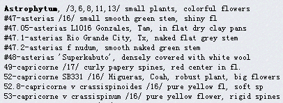 «ö¦¹¦b·sµøµ¡ÂsÄý¹Ï¤ù