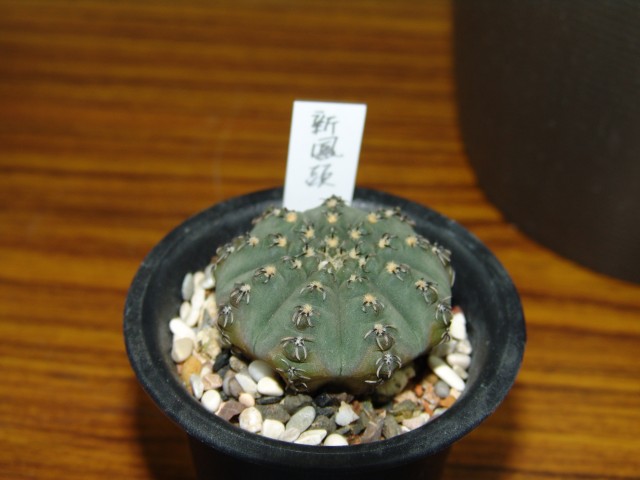 按此在新視窗瀏覽圖片