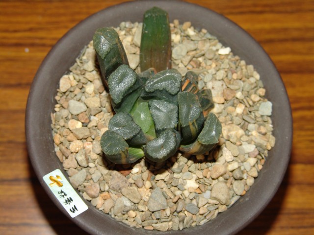 按此在新視窗瀏覽圖片