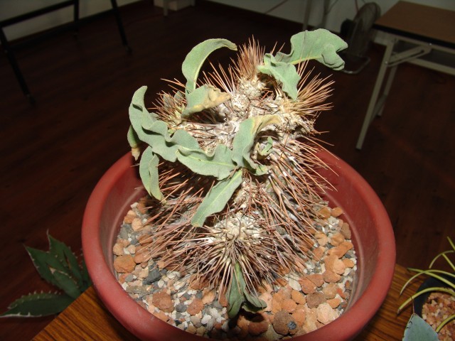 按此在新視窗瀏覽圖片