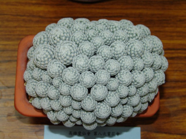 按此在新視窗瀏覽圖片