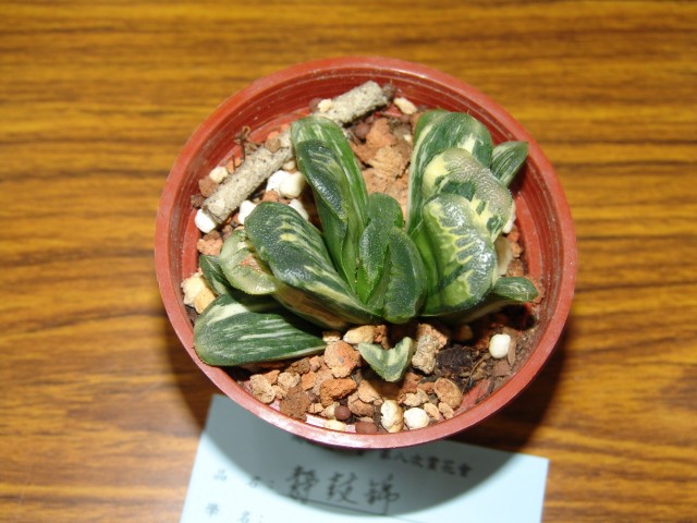 按此在新視窗瀏覽圖片