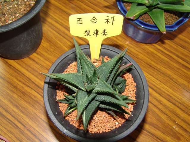 按此在新視窗瀏覽圖片